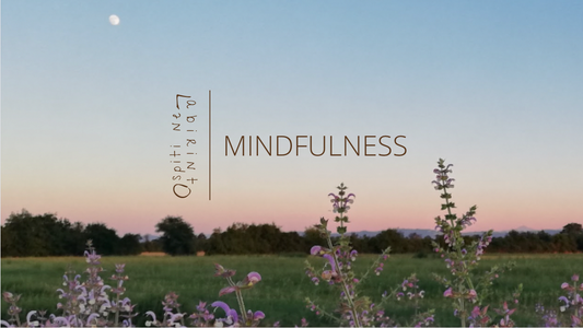 Mindfulness immersi nella natura