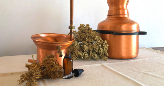 Oli essenziali: 8 cose da sapere prima di acquistarli