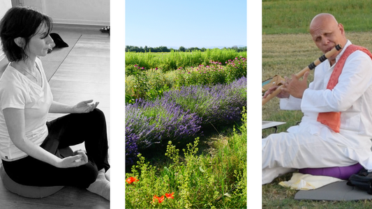 mindfulness nella natura