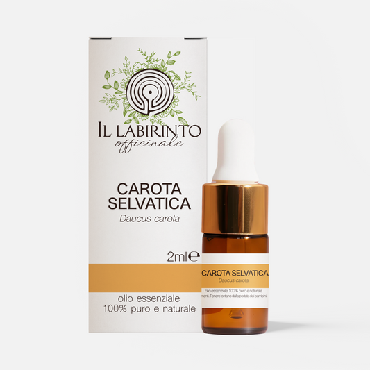 Olio essenziale Carota selvatica 2ml 5ml