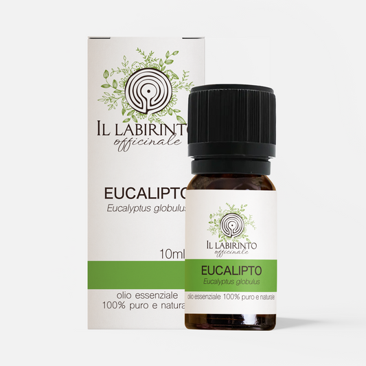 Olio essenziale Eucalipto 10ml