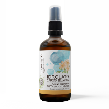 Idrolato di Carota selvatica 100% puro e naturale