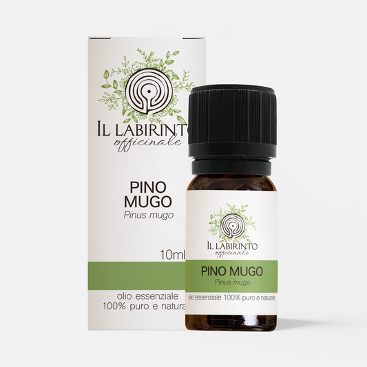 Olio essenziale Pino Mugo 10ml