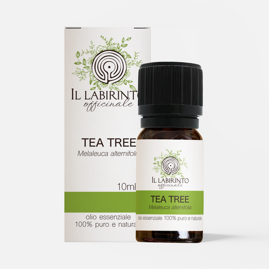 Olio essenziale Tea tree 10ml