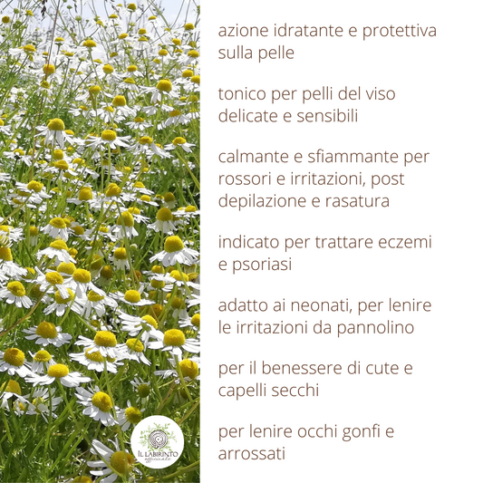 Idrolato di Camomilla 100% puro e naturale