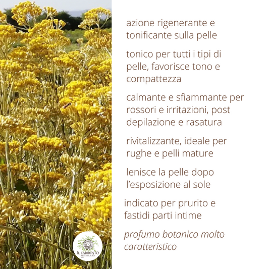 Idrolato di Elicriso 100% puro e naturale