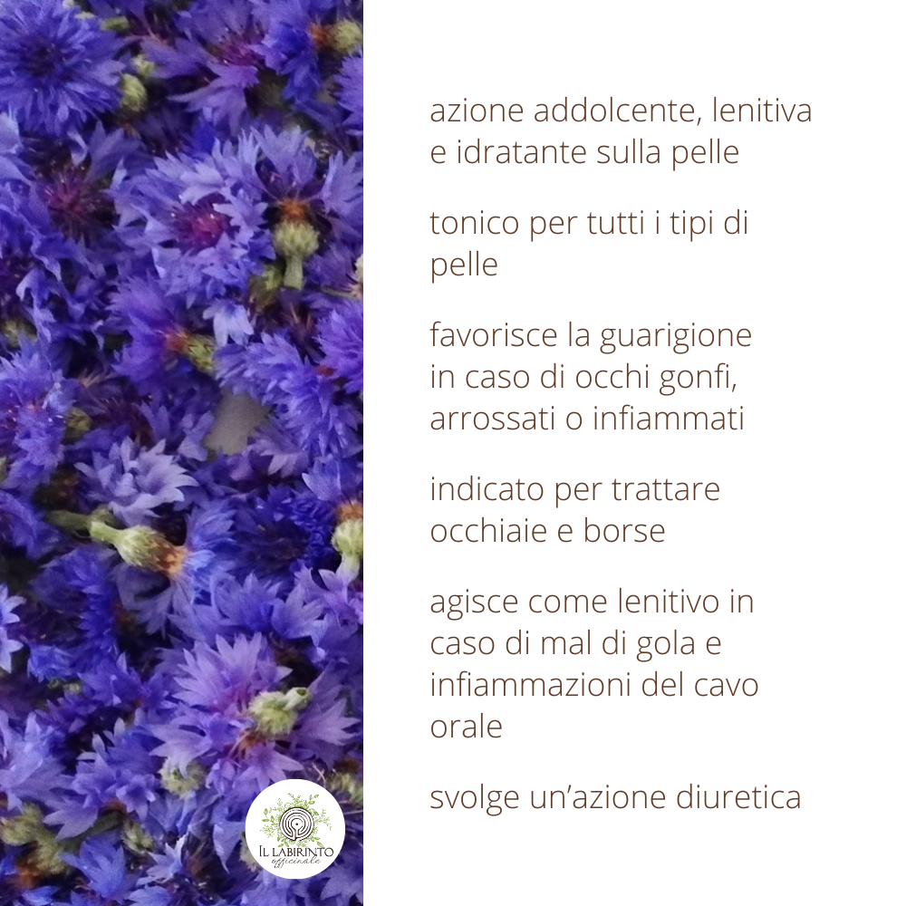 Idrolato di Fiordaliso 100% puro e naturale
