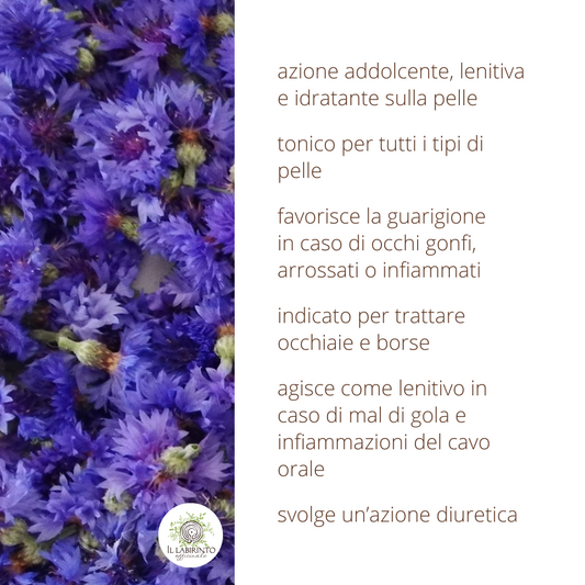 Idrolato di Fiordaliso 100% puro e naturale