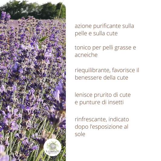 Idrolato di Lavanda vera 100% puro e naturale