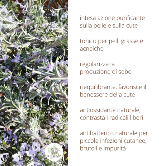 Idrolato di Rosmarino 100% puro e naturale