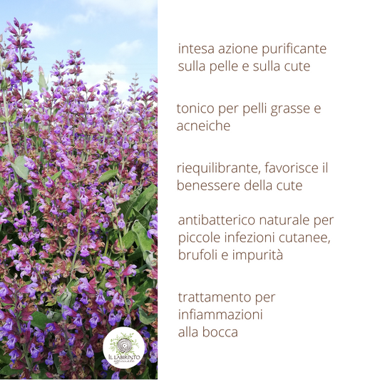 Idrolato di Salvia 100% puro e naturale