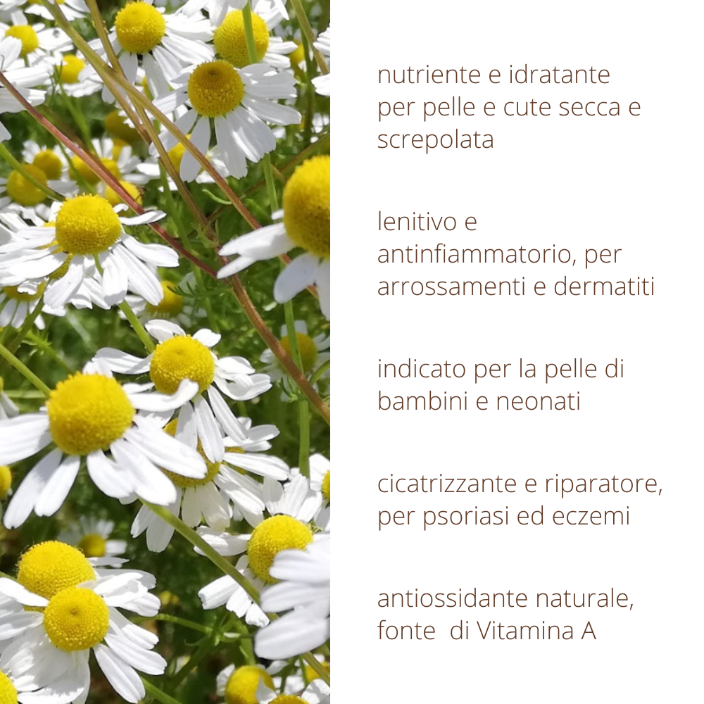 Oleolito di Camomilla 50ml estratto 100% naturale in olio vegetale