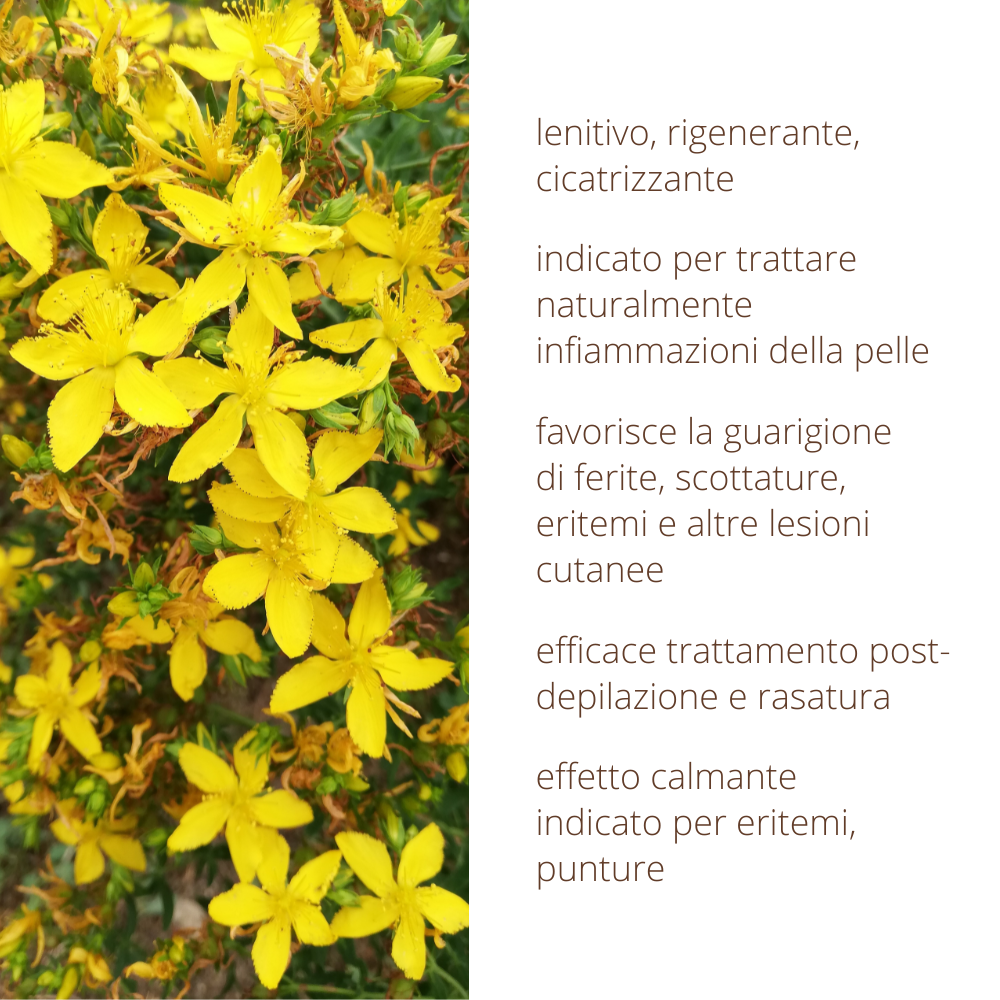 Oleolito di Iperico 50ml estratto 100% naturale in olio vegetale