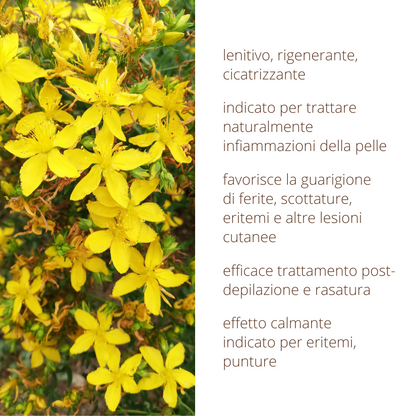 Oleolito di Iperico 50ml estratto 100% naturale in olio vegetale