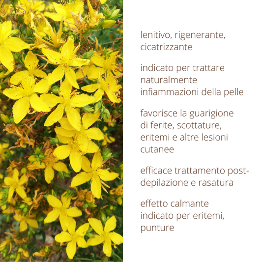 Oleolito di Iperico 50ml estratto 100% naturale in olio vegetale