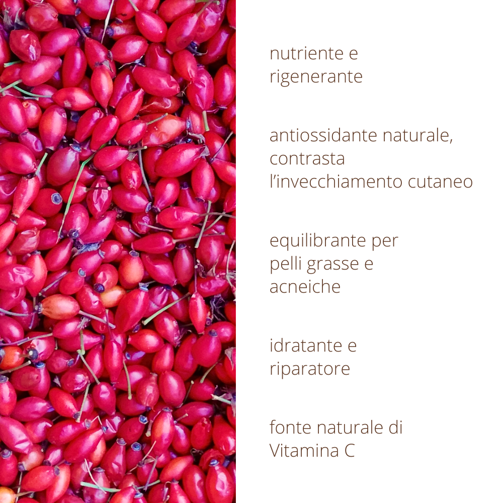 Oleolito di Rosa Canina 50ml estratto 100% naturale in olio vegetale
