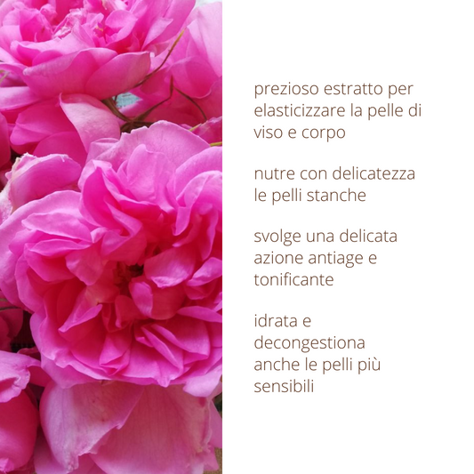 Oleolito di Rosa damascena 50ml estratto 100% naturale in olio vegetale