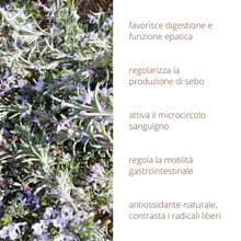 Oleolito di Rosmarino 50ml estratto 100% naturale in olio vegetale
