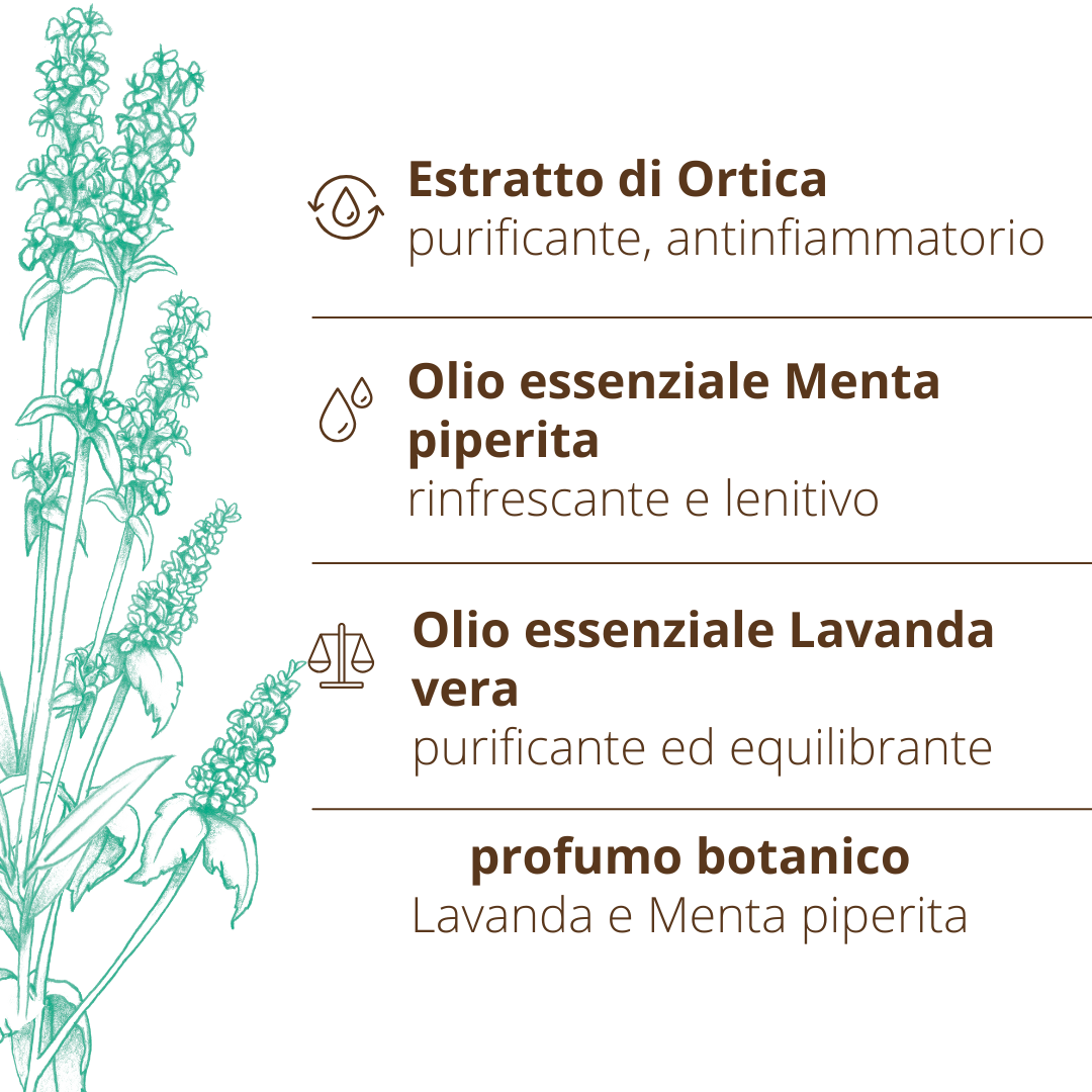 Shampoo purificante cute Ortica Lavanda Menta piperita