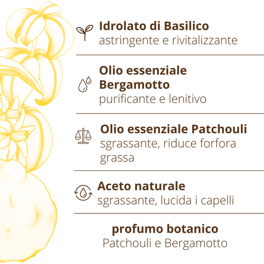Daily anti-dandruff degreasing shampoo Basil Patchouli Bergamot