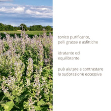 Idrolato di Salvia sclarea 100% puro e naturale
