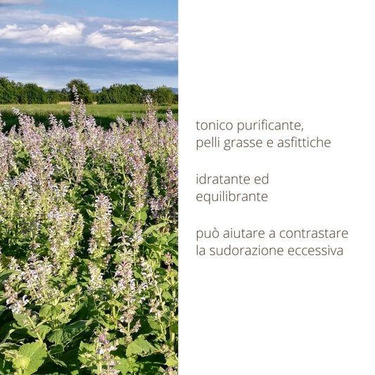 Clary sage hydrosol, balancing face and skin tonic