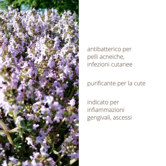 Thyme hydrolate antibacterial for skin