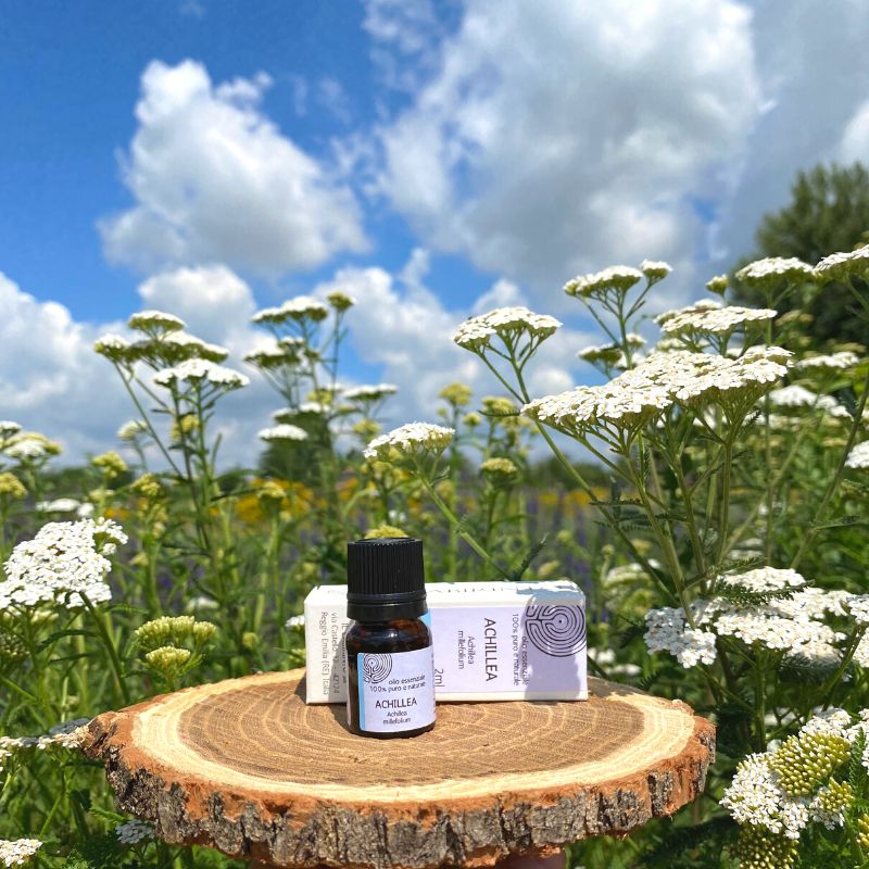 Yarrow essential oil discount