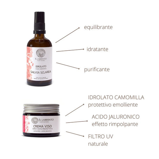Ensemble de cosmétiques naturels pour le traitement du visage hydratant